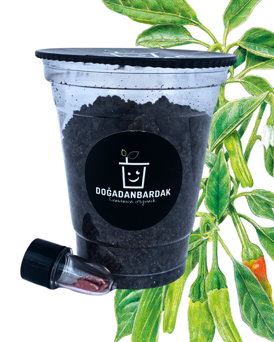 DoğadanBardak™ Kıl Acı Biber Yetiştirme Kiti