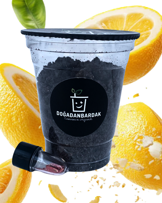 DoğadanBardak™ Limon Yetiştirme Kiti