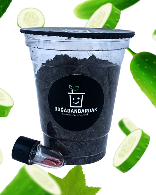 DoğadanBardak™ Salatalık Yetiştirme Kiti
